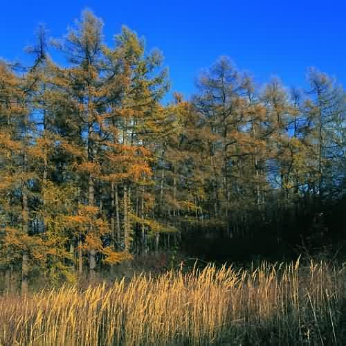 Říjen 2004