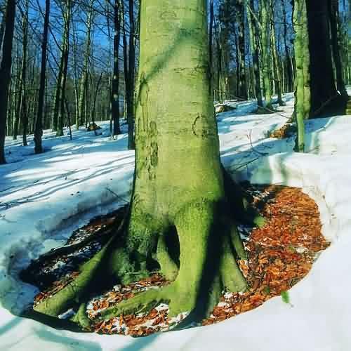 Únor 2004