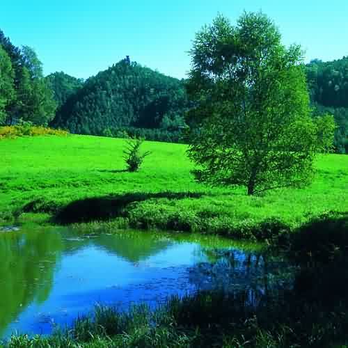 Květen 2004