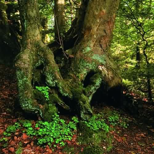 Červenec 2004